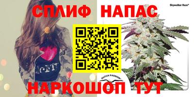 СК Малоярославец