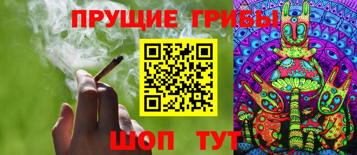 Псилоцибиновые грибы GOLDEN TEACHER Великие Луки