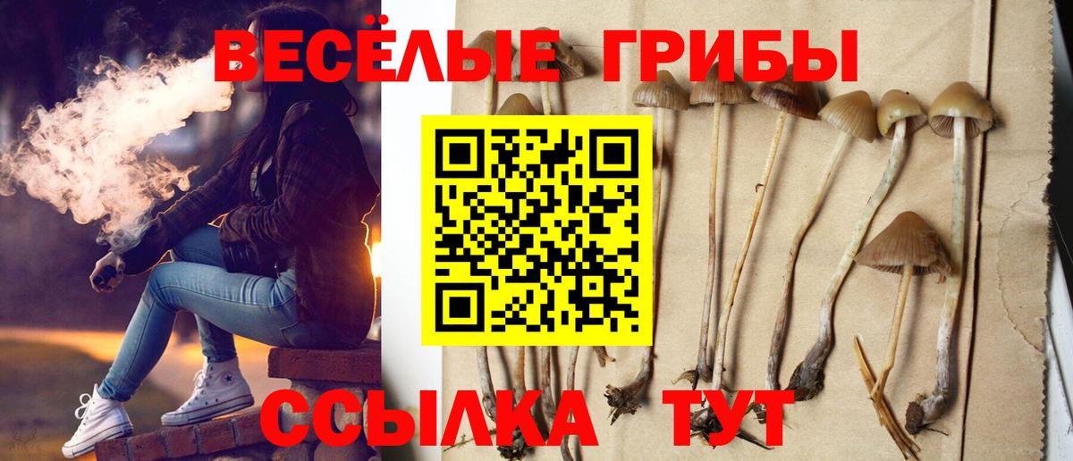 Великие Луки  Псилоцибиновые грибы ЛСД  Вход с VPN 